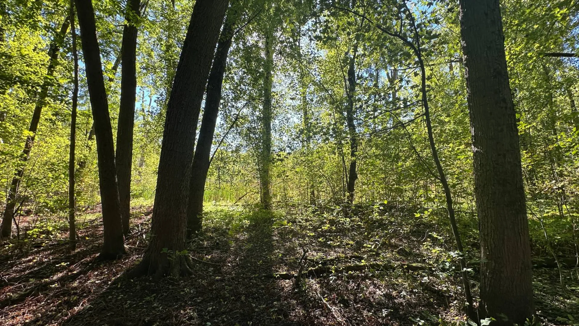 Property at 0 Main Street, Crown Point, NY 12928 28