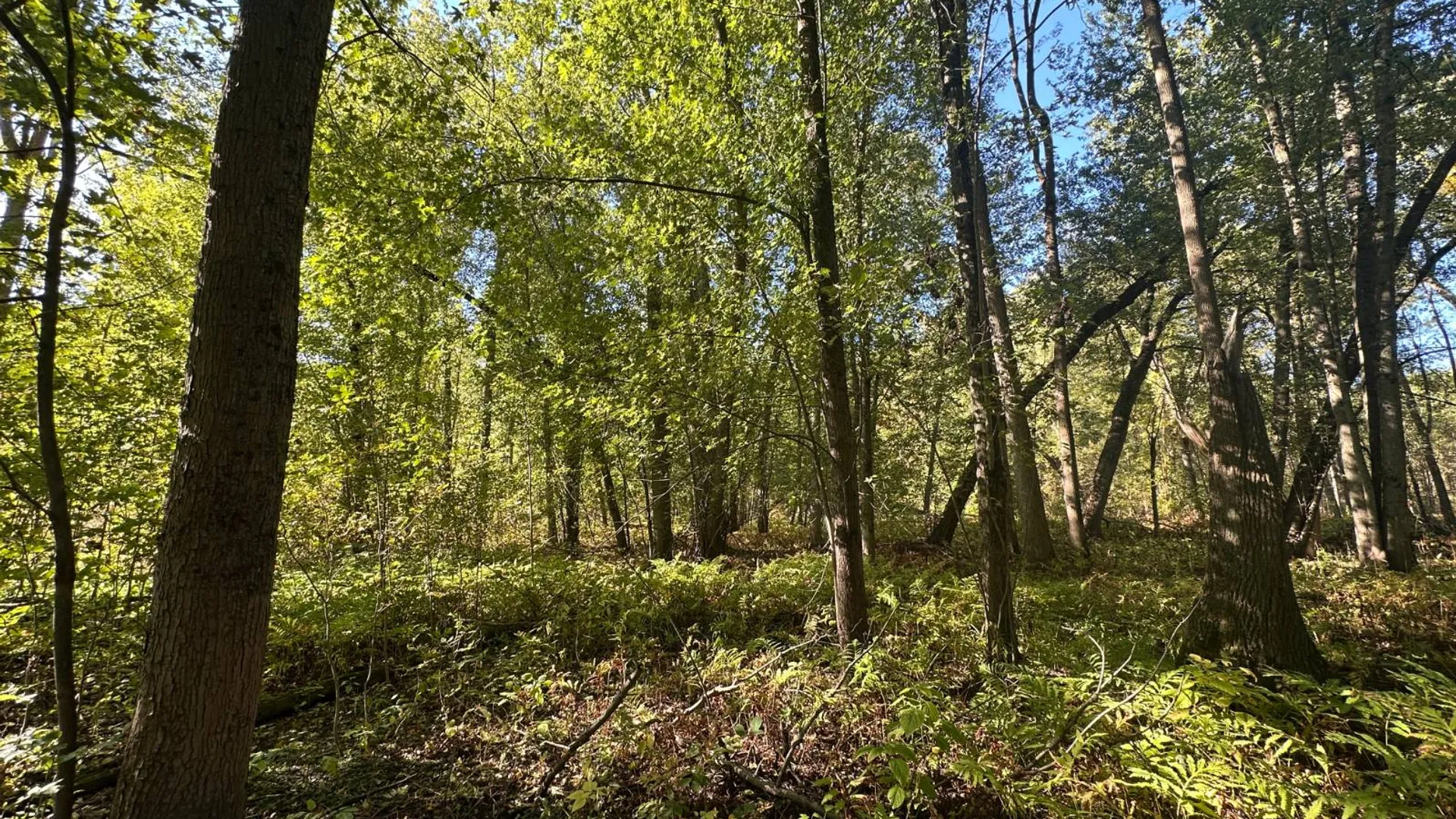 Property at 0 Main Street, Crown Point, NY 12928 39