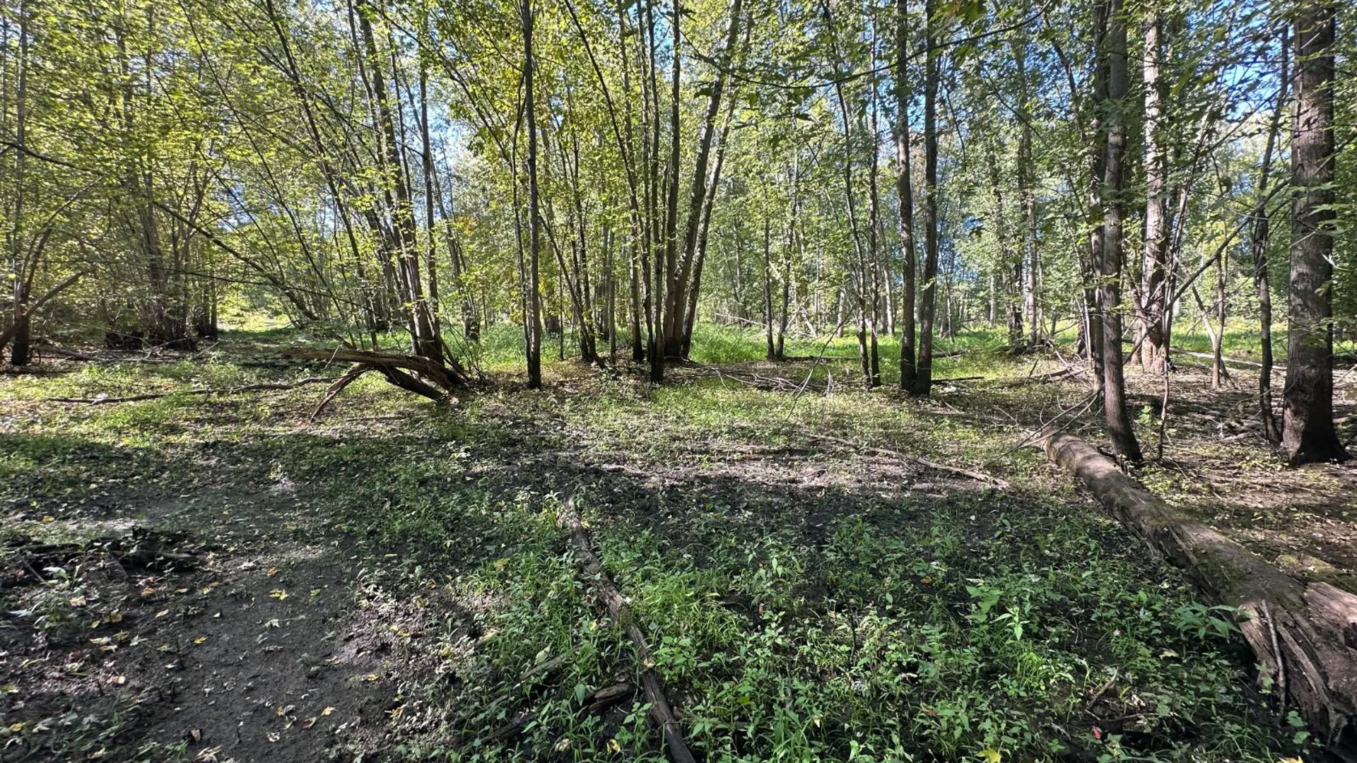 Property at 0 Main Street, Crown Point, NY 12928 40
