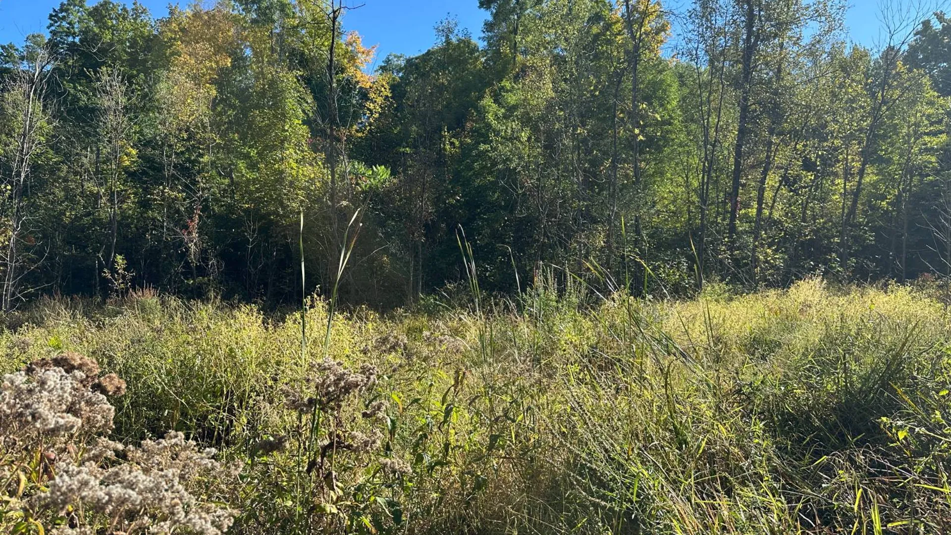 Property at 0 Main Street, Crown Point, NY 12928 43