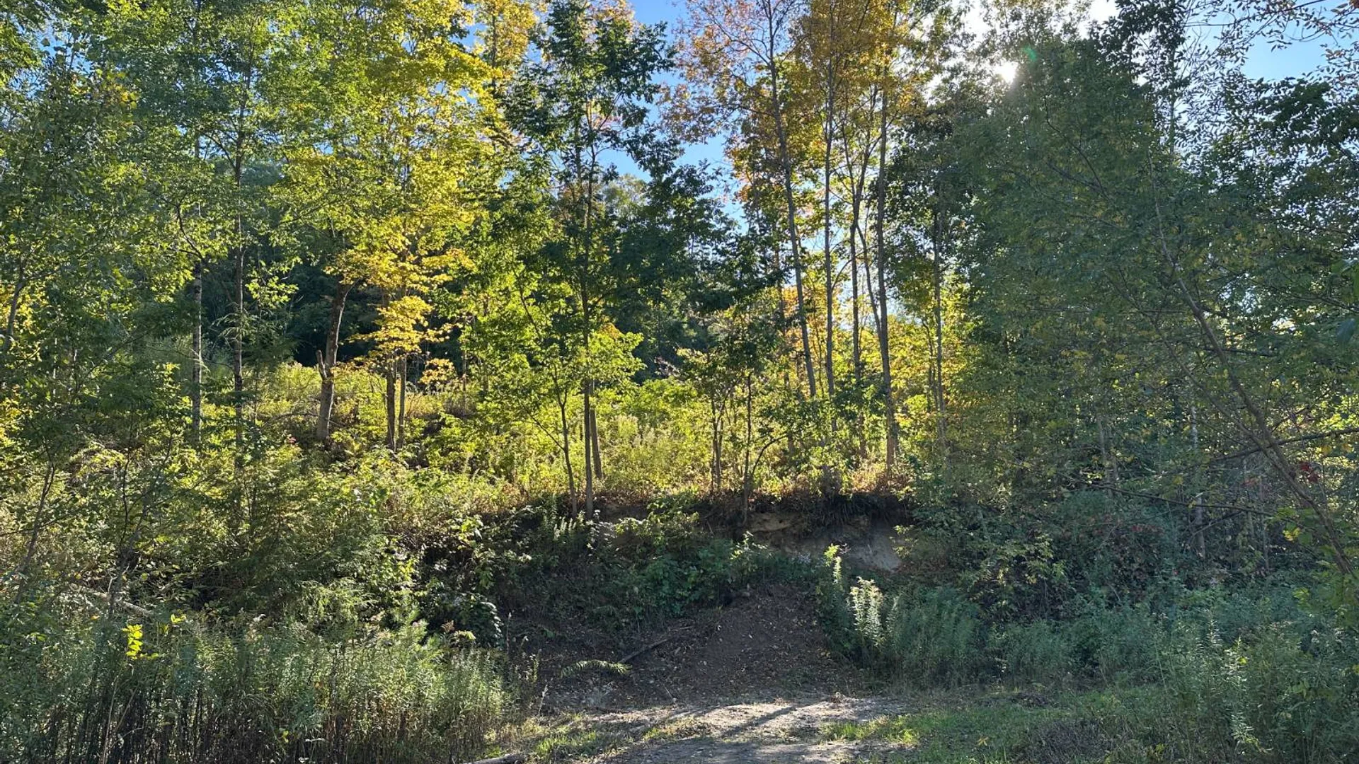Property at 0 Main Street, Crown Point, NY 12928 45