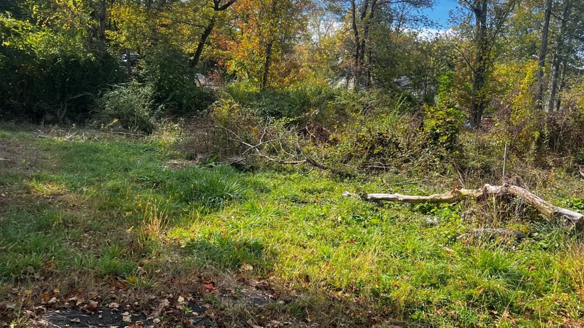 Property at 31 Laurel trail, Wurtsboro, NY 12790 8