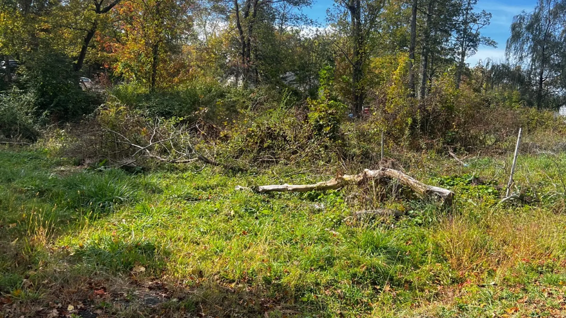 Property at 31 Laurel trail, Wurtsboro, NY 12790 9