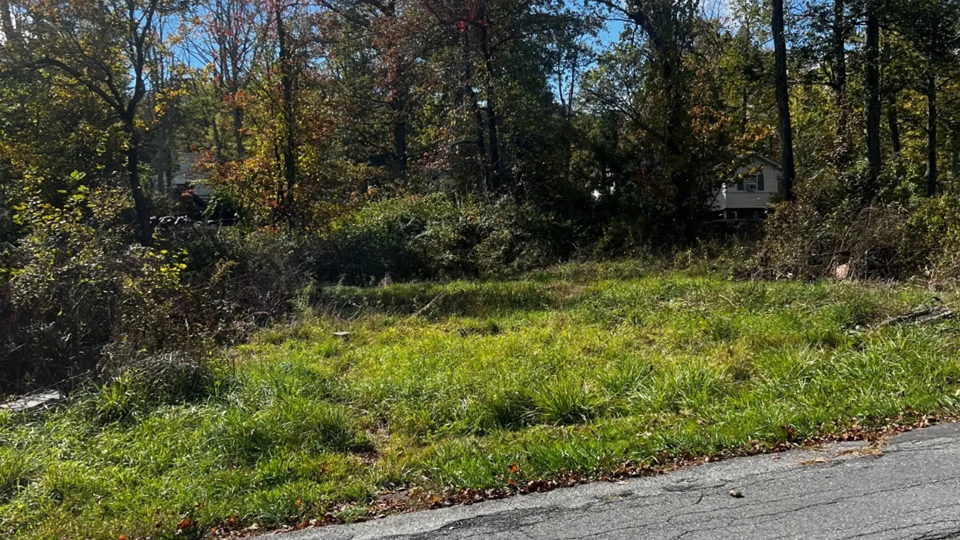 Property at 31 Laurel trail, Wurtsboro, NY 12790 12