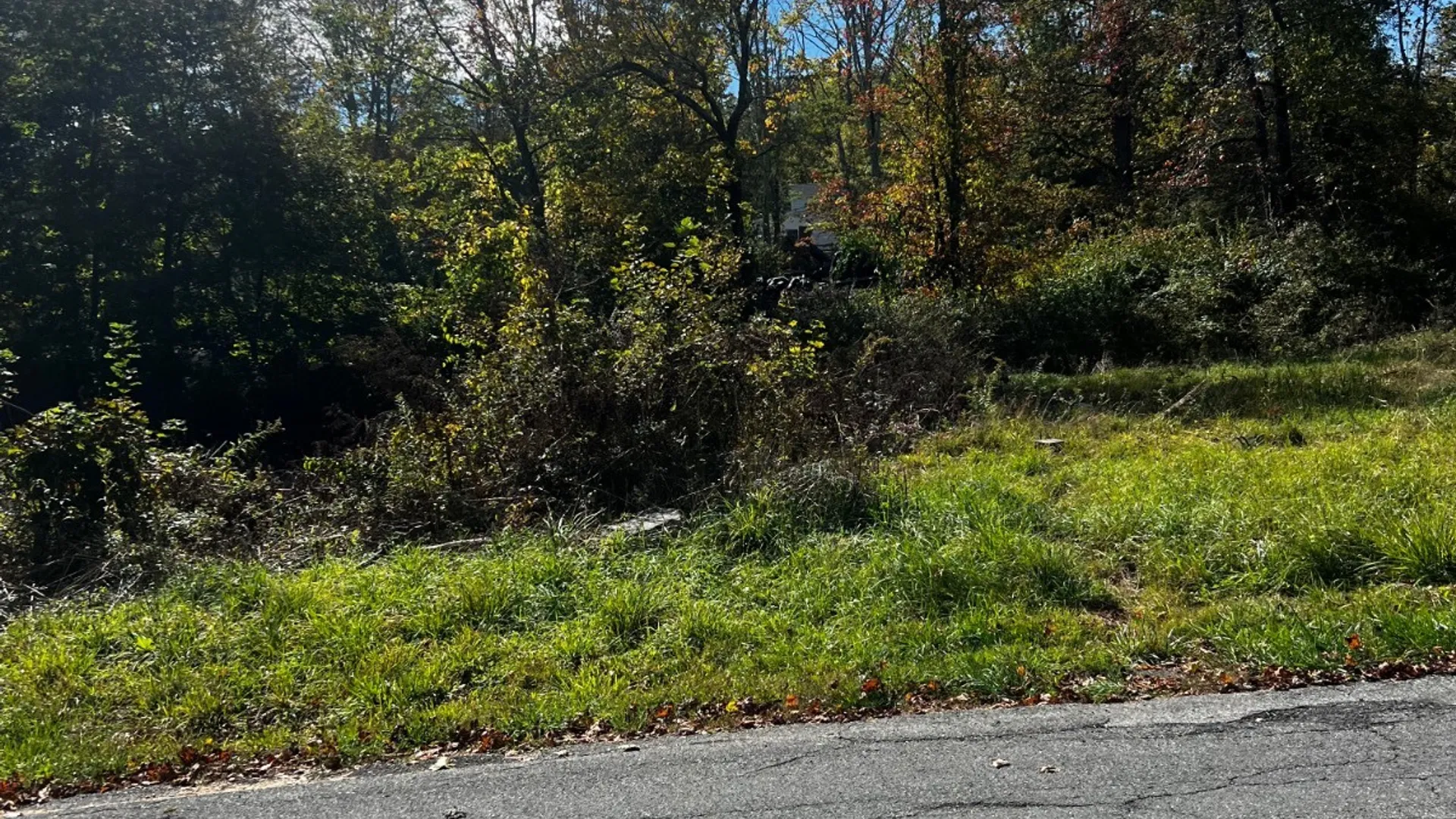 Property at 31 Laurel trail, Wurtsboro, NY 12790 13