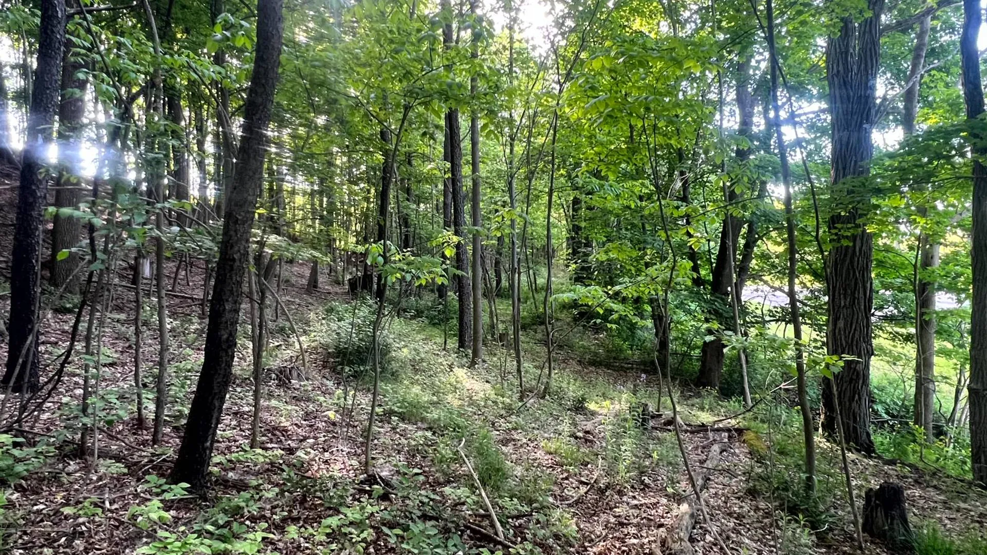Property at 1.1 County Road 29, New Berlin, NY 13411 4