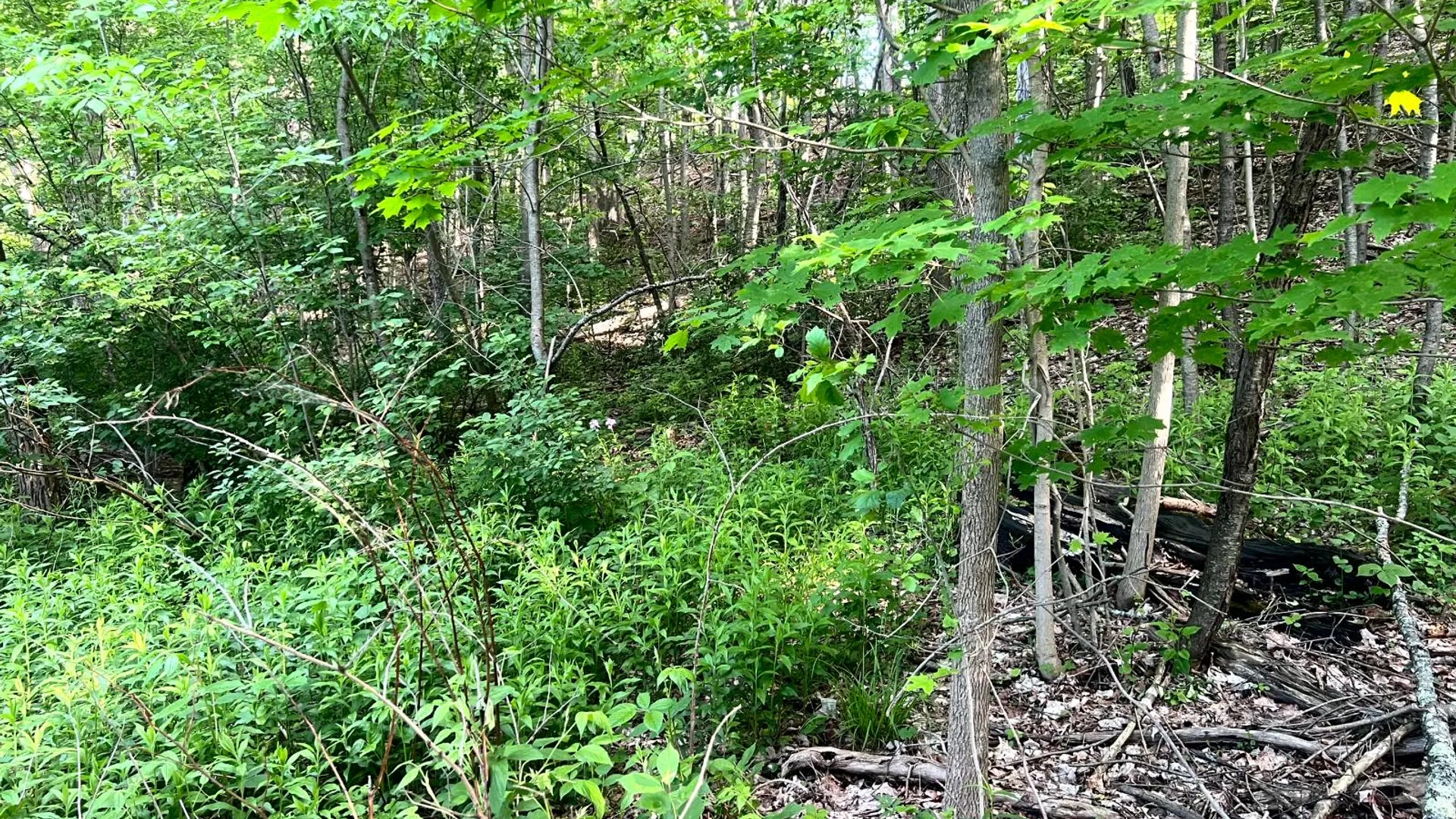 Property at 1.1 County Road 29, New Berlin, NY 13411 5