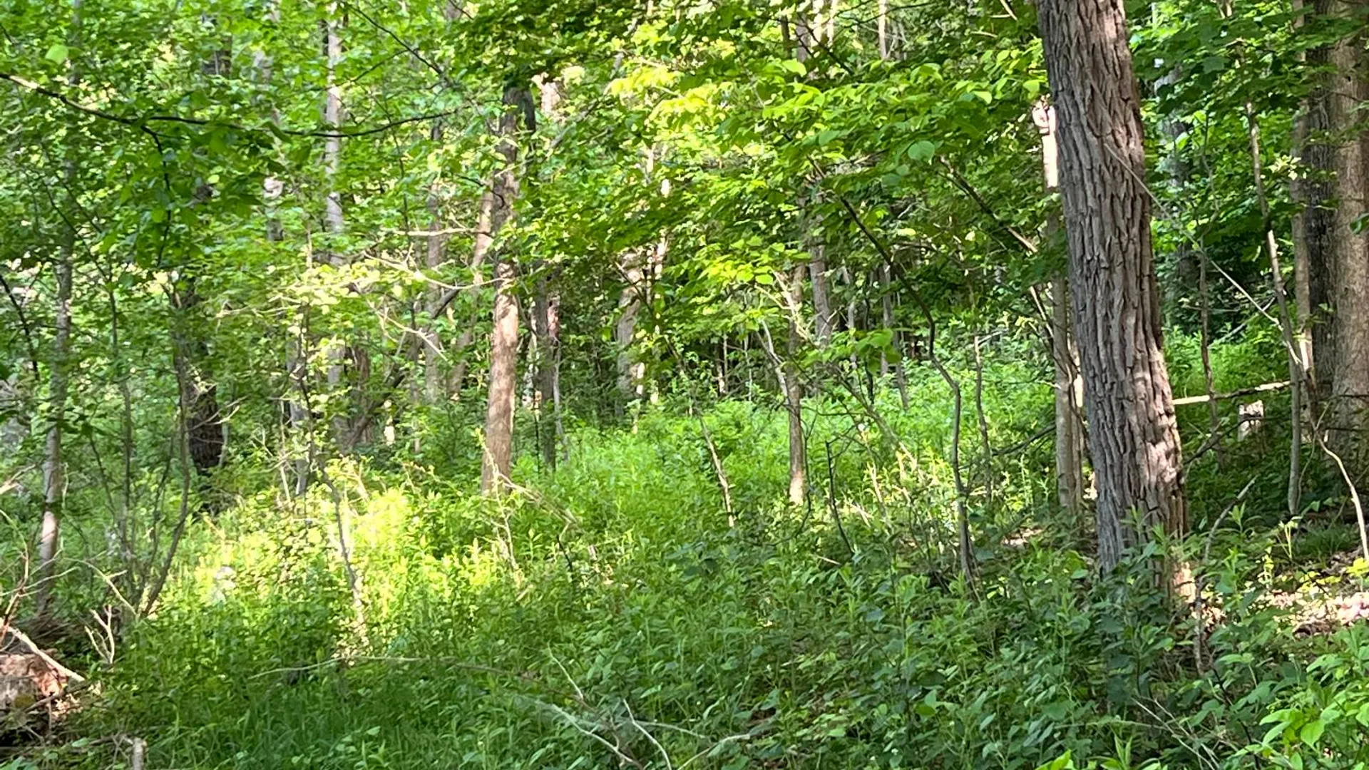 Property at 1.1 County Road 29, New Berlin, NY 13411 6