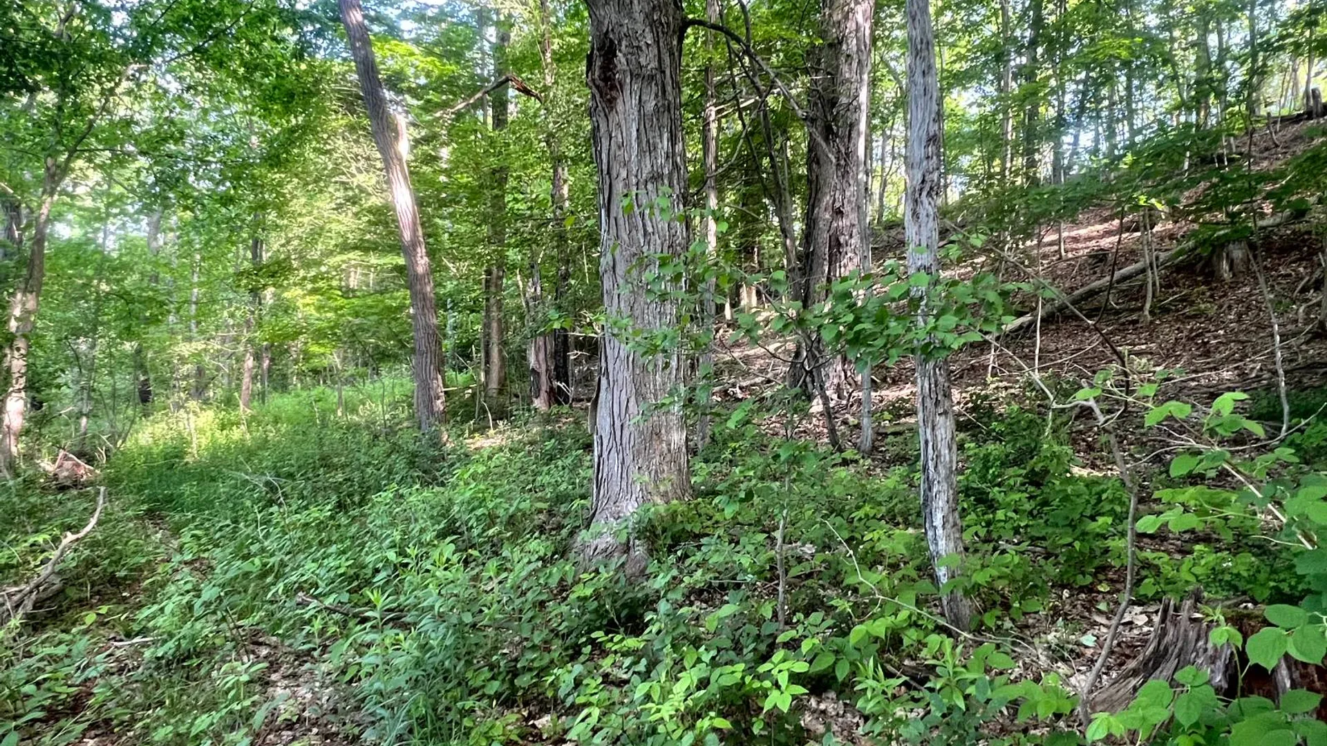 Property at 1.1 County Road 29, New Berlin, NY 13411 16