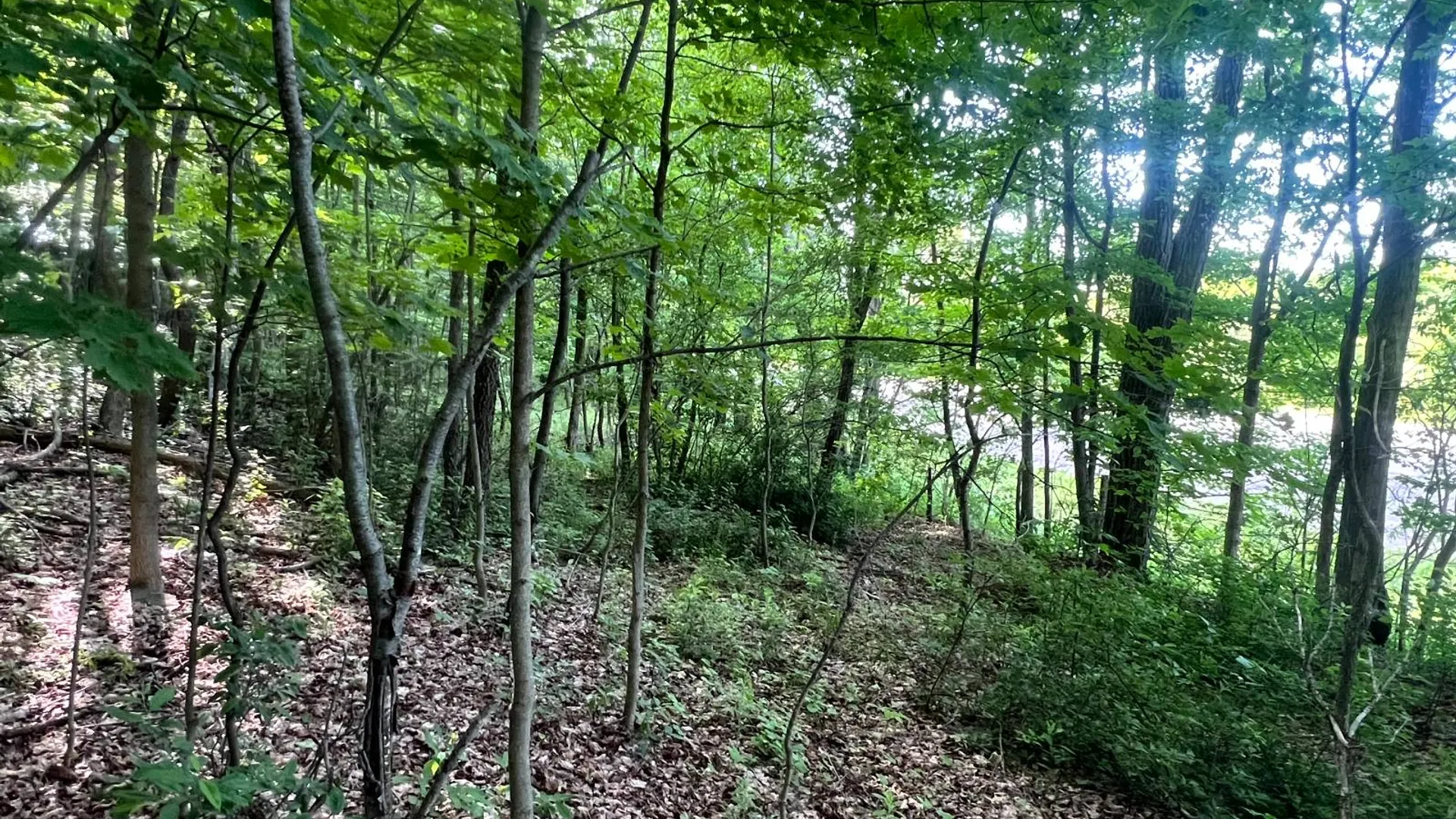 Property at 1.1 County Road 29, New Berlin, NY 13411 17
