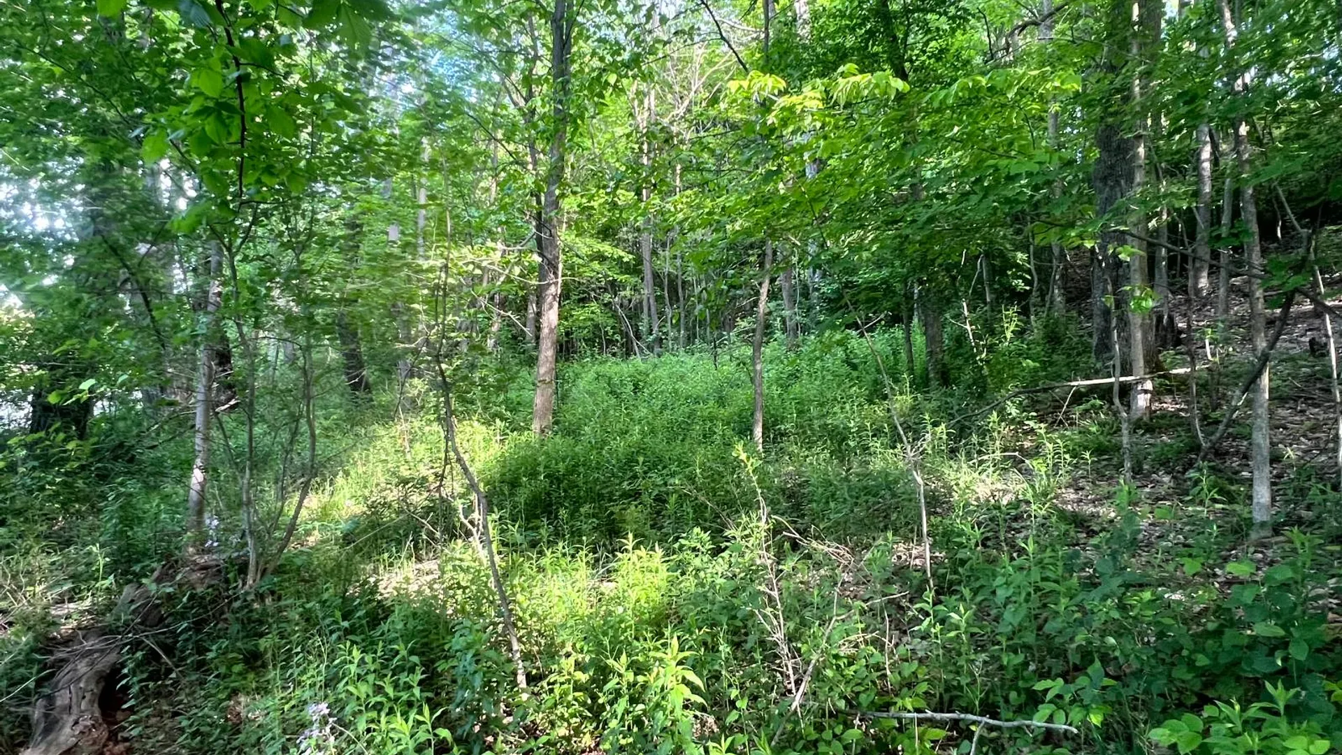Property at 1.1 County Road 29, New Berlin, NY 13411 18