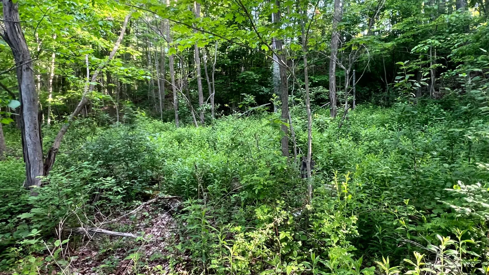 Property at 1.1 County Road 29, New Berlin, NY 13411 19
