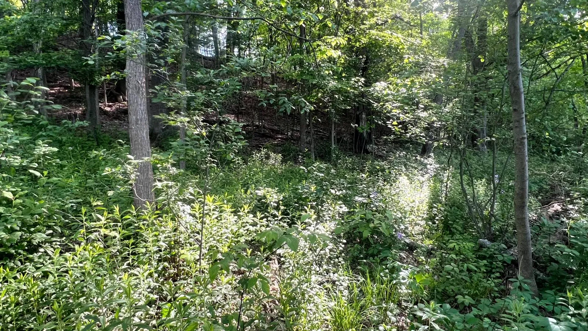 Property at 1.1 County Road 29, New Berlin, NY 13411 20