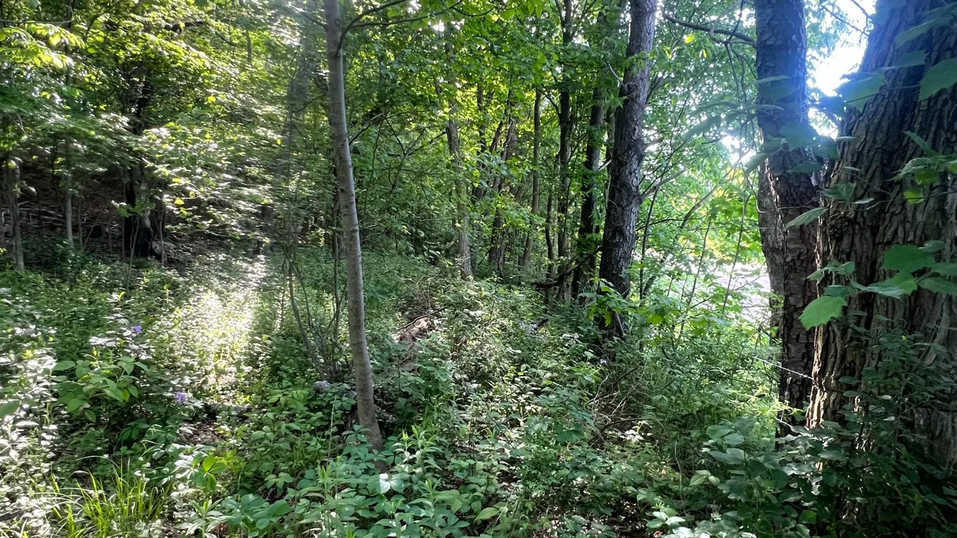 Property at 1.1 County Road 29, New Berlin, NY 13411 21