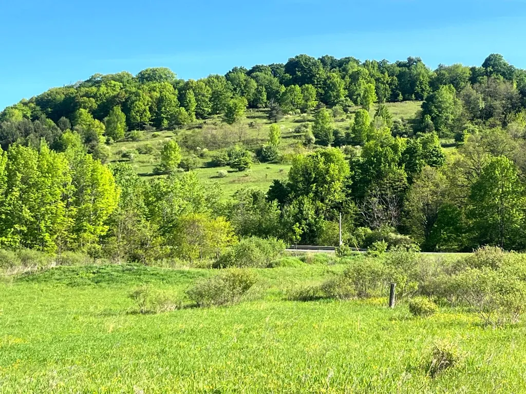 Property at 1.2 County Road 29, New Berlin, NY 13411