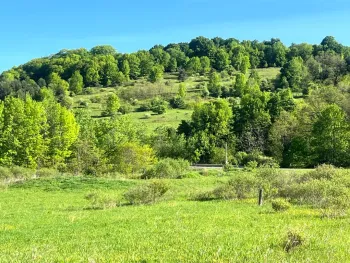 Property at 1.2 County Road 29, New Berlin, NY 13411