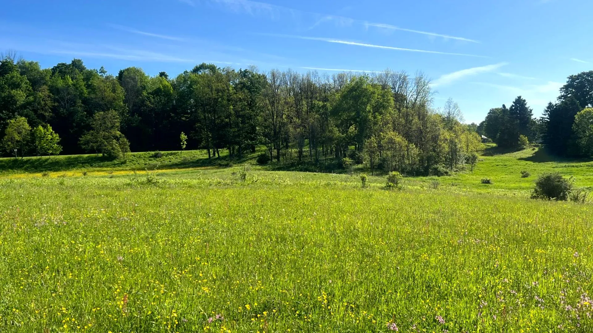 Property at 1.2 County Road 29, New Berlin, NY 13411 3