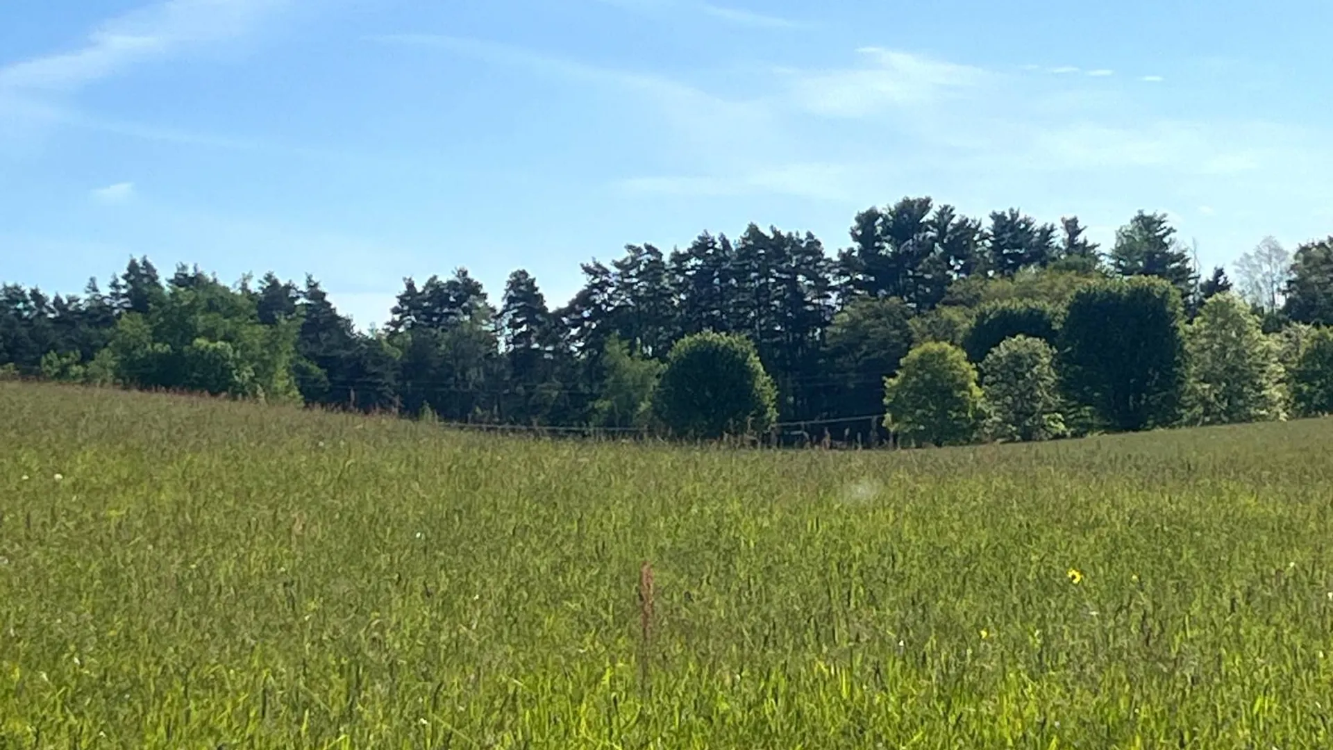 Property at 1.2 County Road 29, New Berlin, NY 13411 4