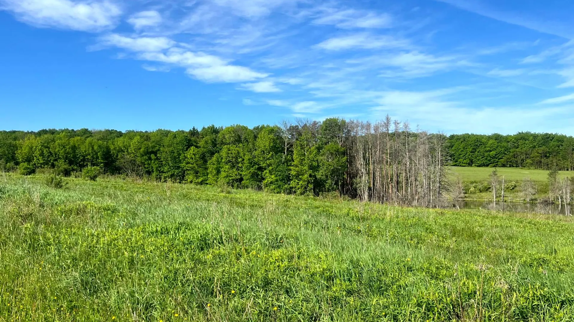 Property at 1.2 County Road 29, New Berlin, NY 13411 8