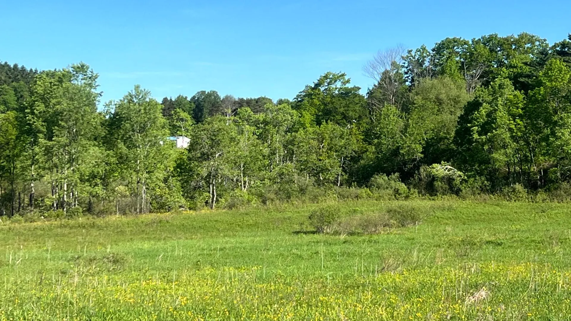 Property at 1.2 County Road 29, New Berlin, NY 13411 9
