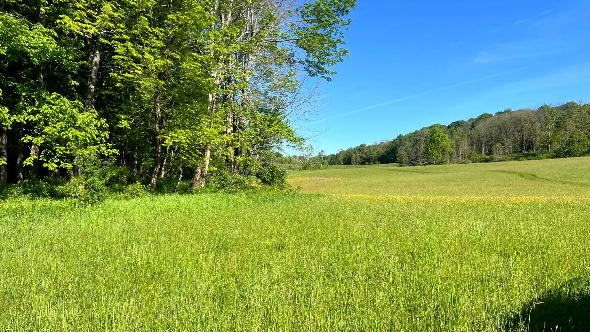 Property at 1.4 County Road 29, New Berlin, NY 13411 7