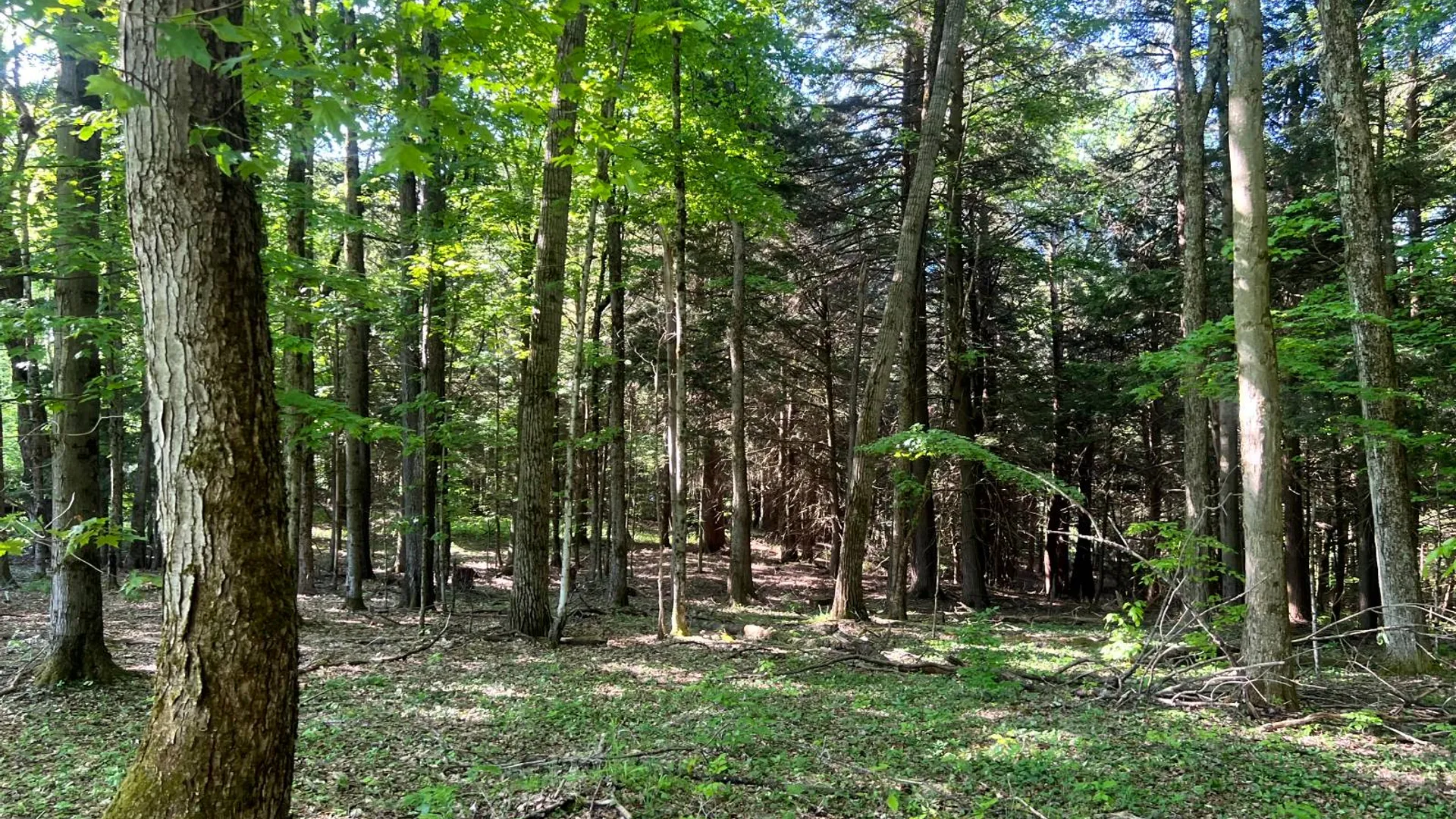 Property at 1.4 County Road 29, New Berlin, NY 13411 15
