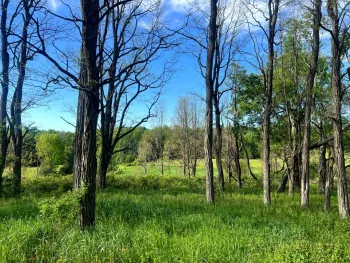 Property at 1.5 County Road 29, New Berlin, NY 13411