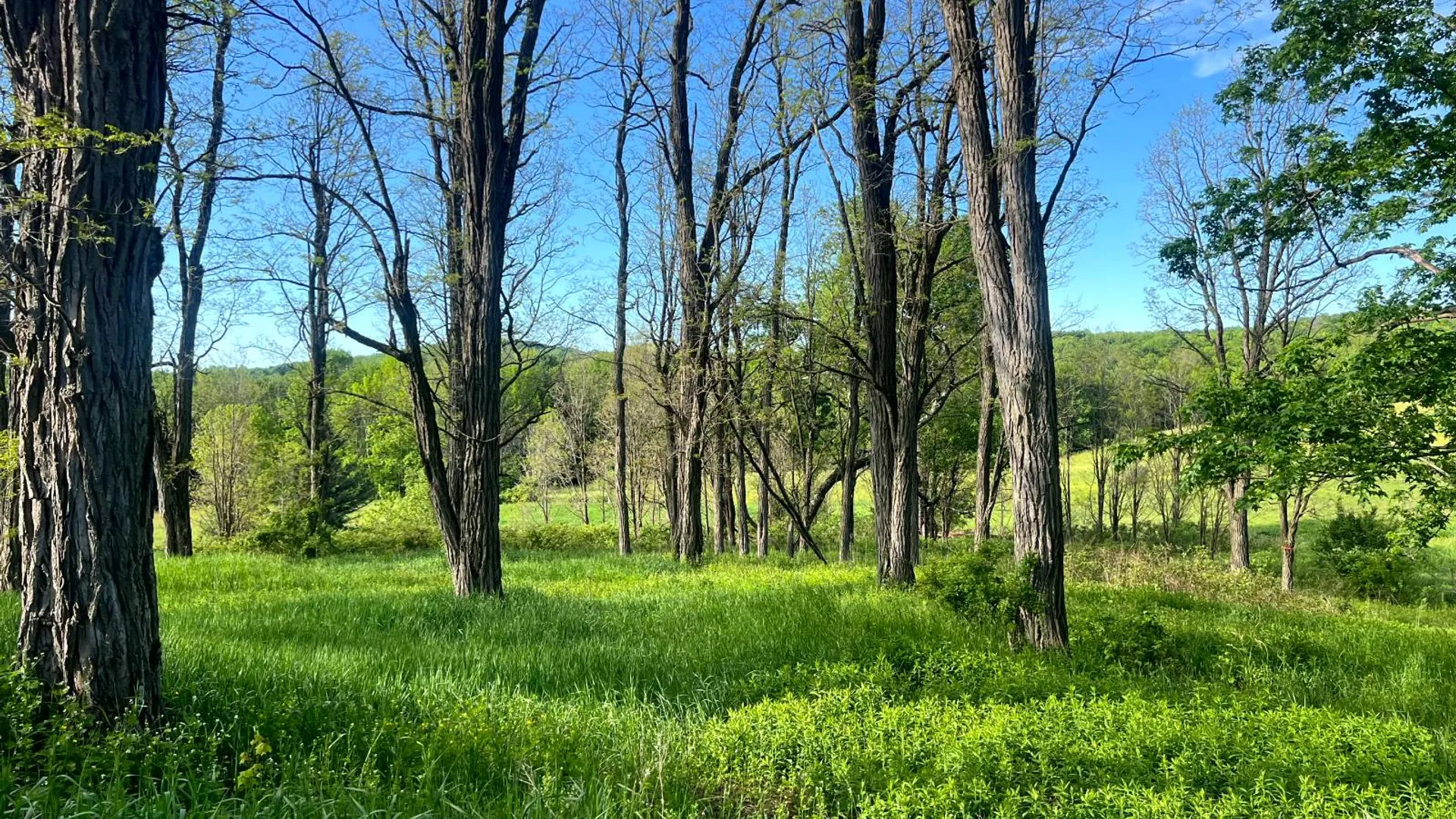 Property at 1.5 County Road 29, New Berlin, NY 13411 3