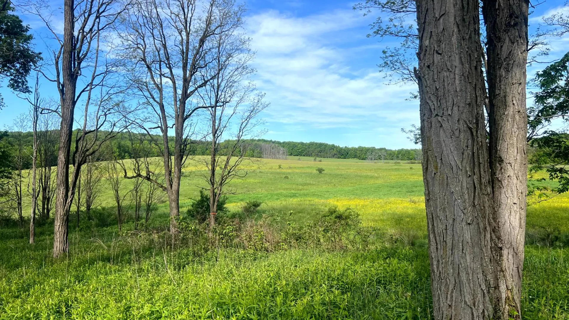 Property at 1.5 County Road 29, New Berlin, NY 13411 4