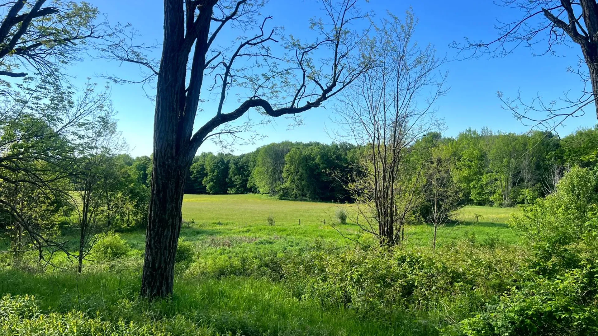 Property at 1.5 County Road 29, New Berlin, NY 13411 5