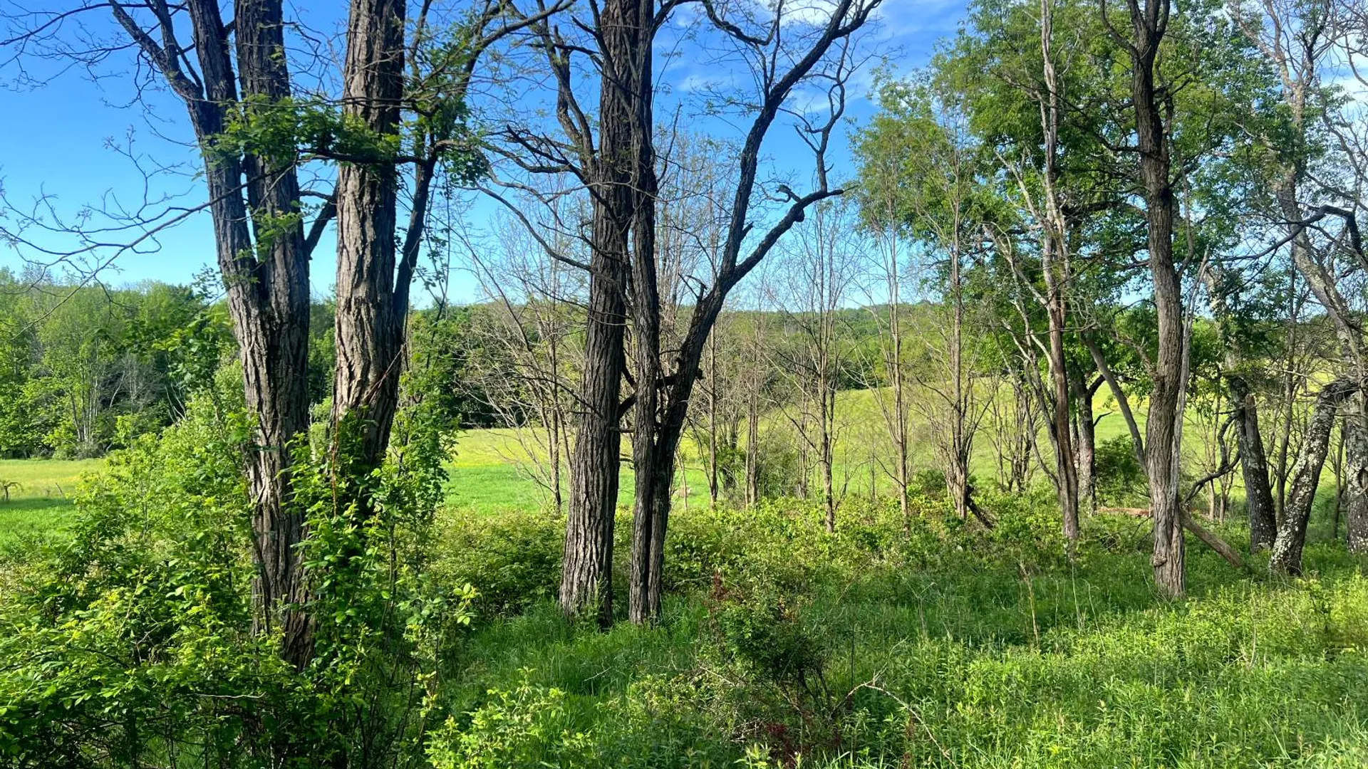 Property at 1.5 County Road 29, New Berlin, NY 13411 6