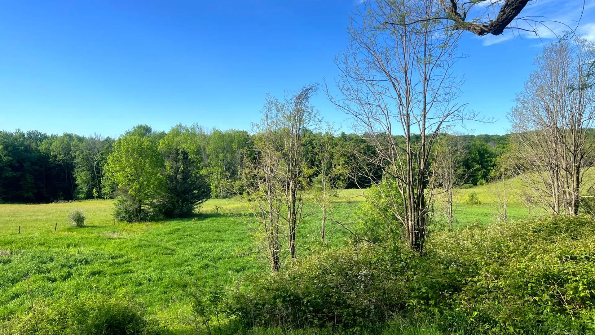 Property at 1.5 County Road 29, New Berlin, NY 13411 8