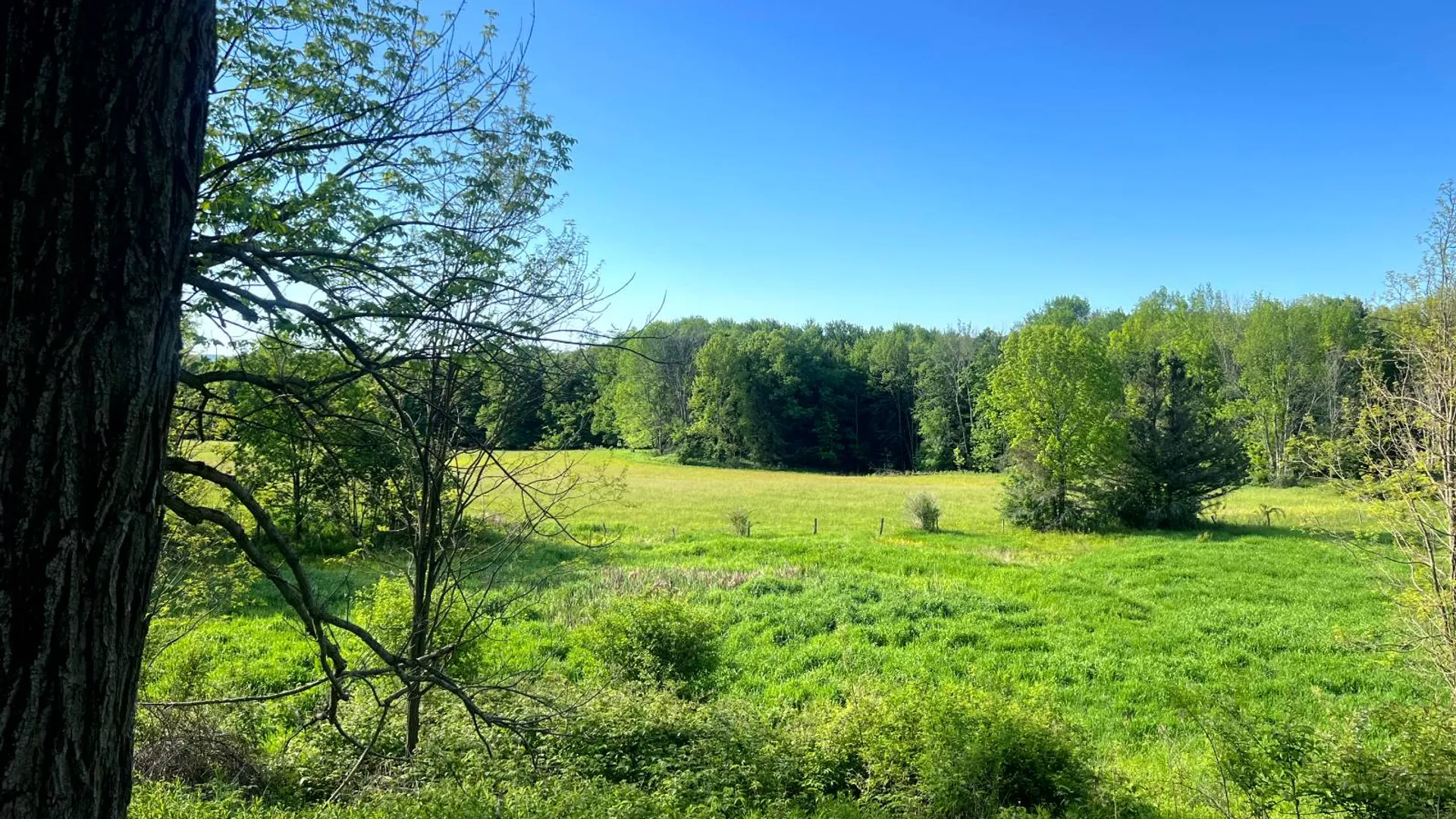 Property at 1.5 County Road 29, New Berlin, NY 13411 9