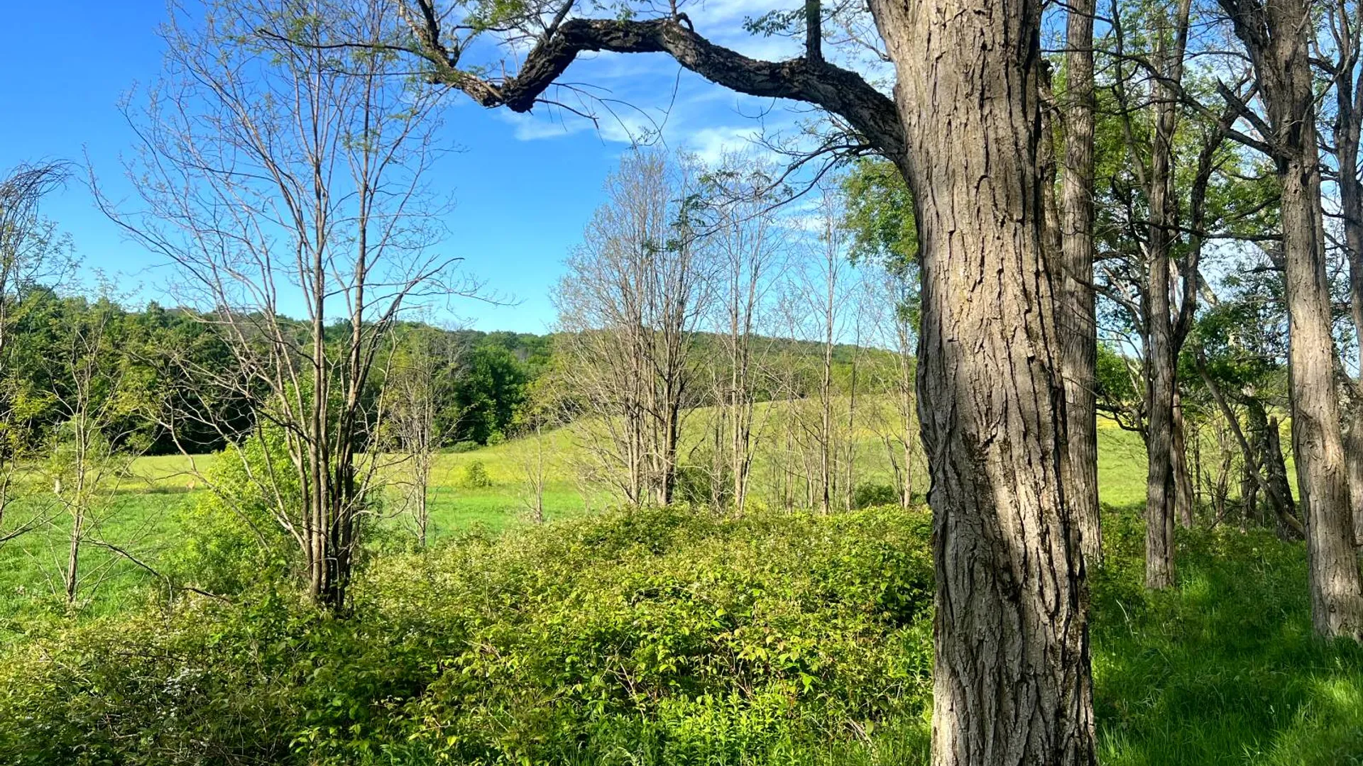 Property at 1.5 County Road 29, New Berlin, NY 13411 11