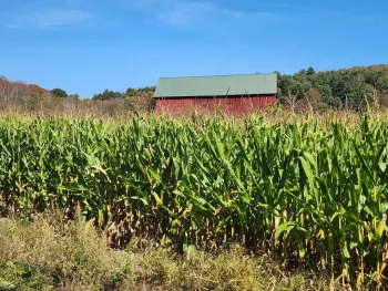 Property at 0 County Road 38, Guilford, NY 13780