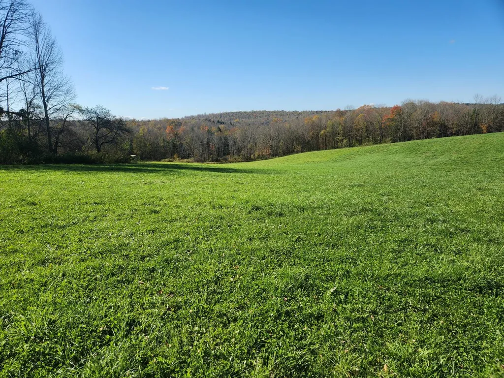 Property at 0 Hoffman, Guilford, NY 13780