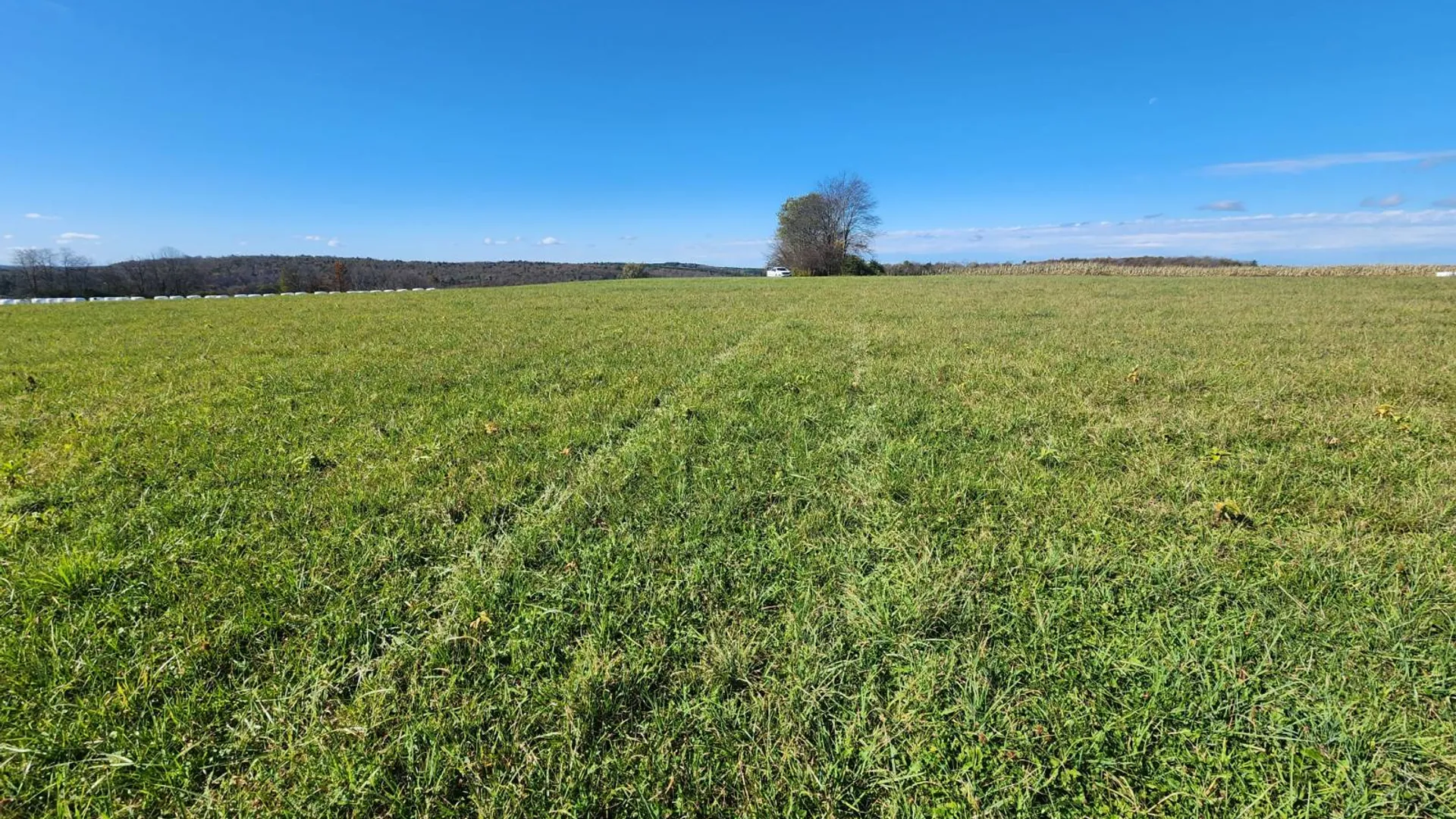 Property at 00 Hoffman Road, Guilford, NY 13780 8
