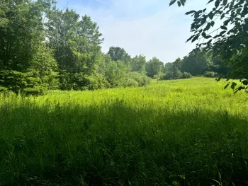 Property at 1.2 Wart Rd., Orwell, NY 13426