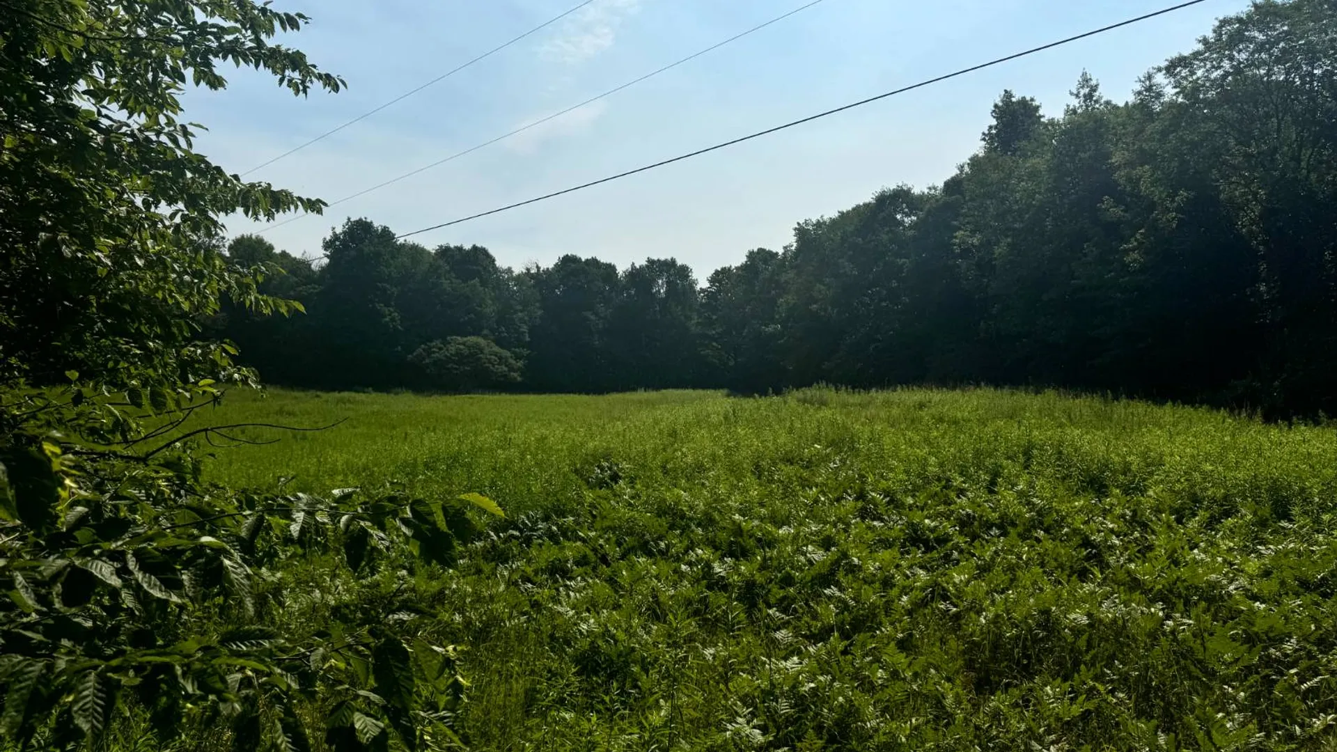 Property at 1.2 Wart Rd., Orwell, NY 13426 7