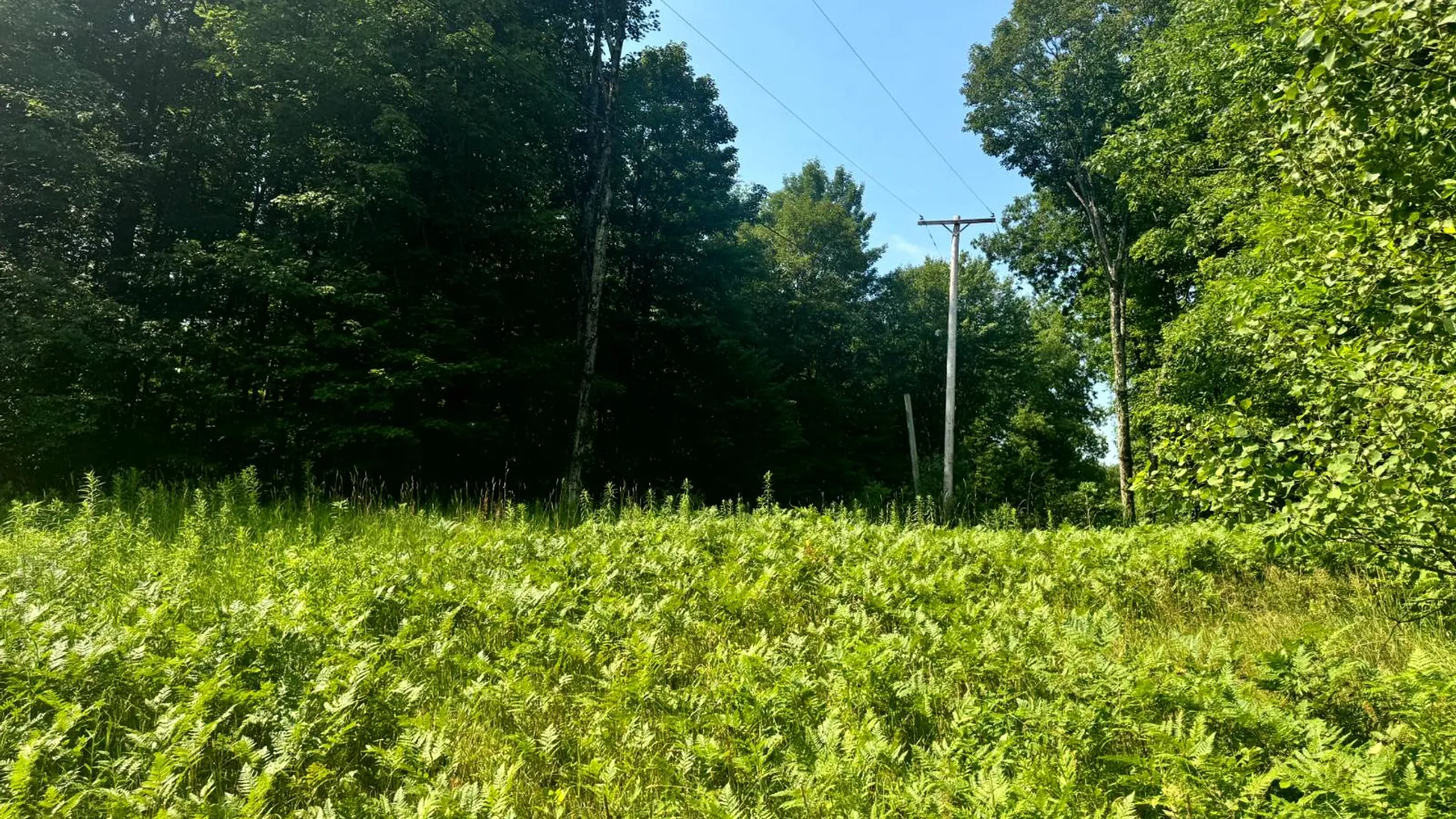 Property at 1.2 Wart Rd., Orwell, NY 13426 8