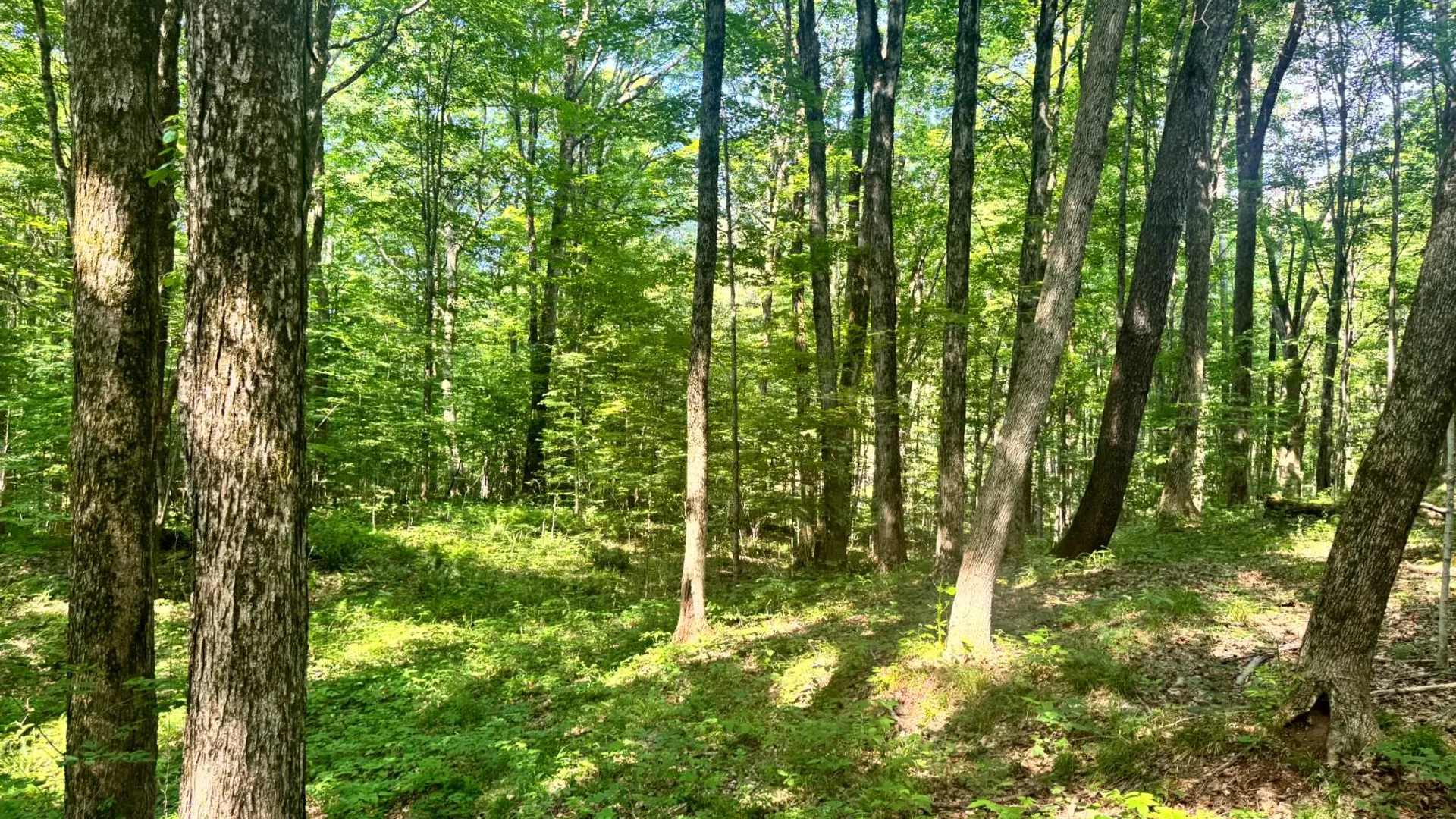 Property at 1.2 Wart Rd., Orwell, NY 13426 19