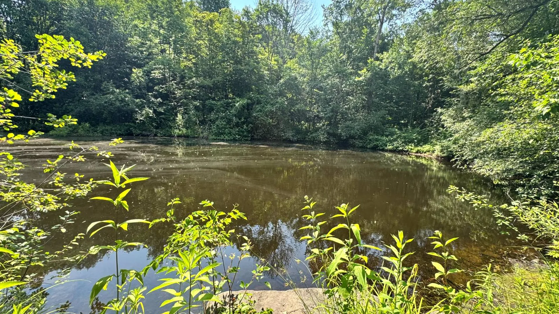 Property at 1.5 Wart Rd., Orwell, NY 13426 3