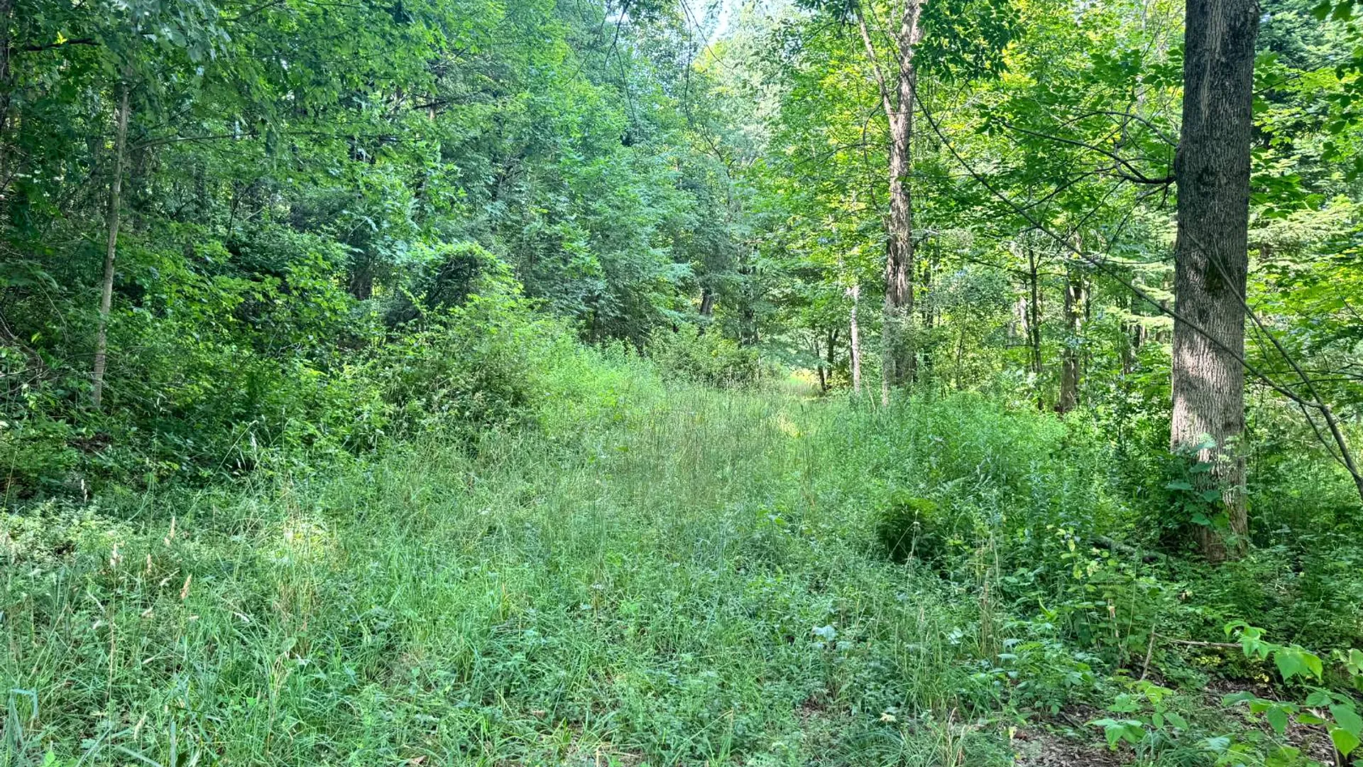 Property at 1.5 Wart Rd., Orwell, NY 13426 5
