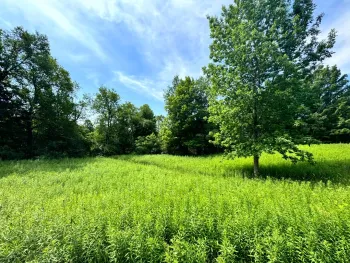 Property at 1.12 Wart Rd., Orwell, NY 13426