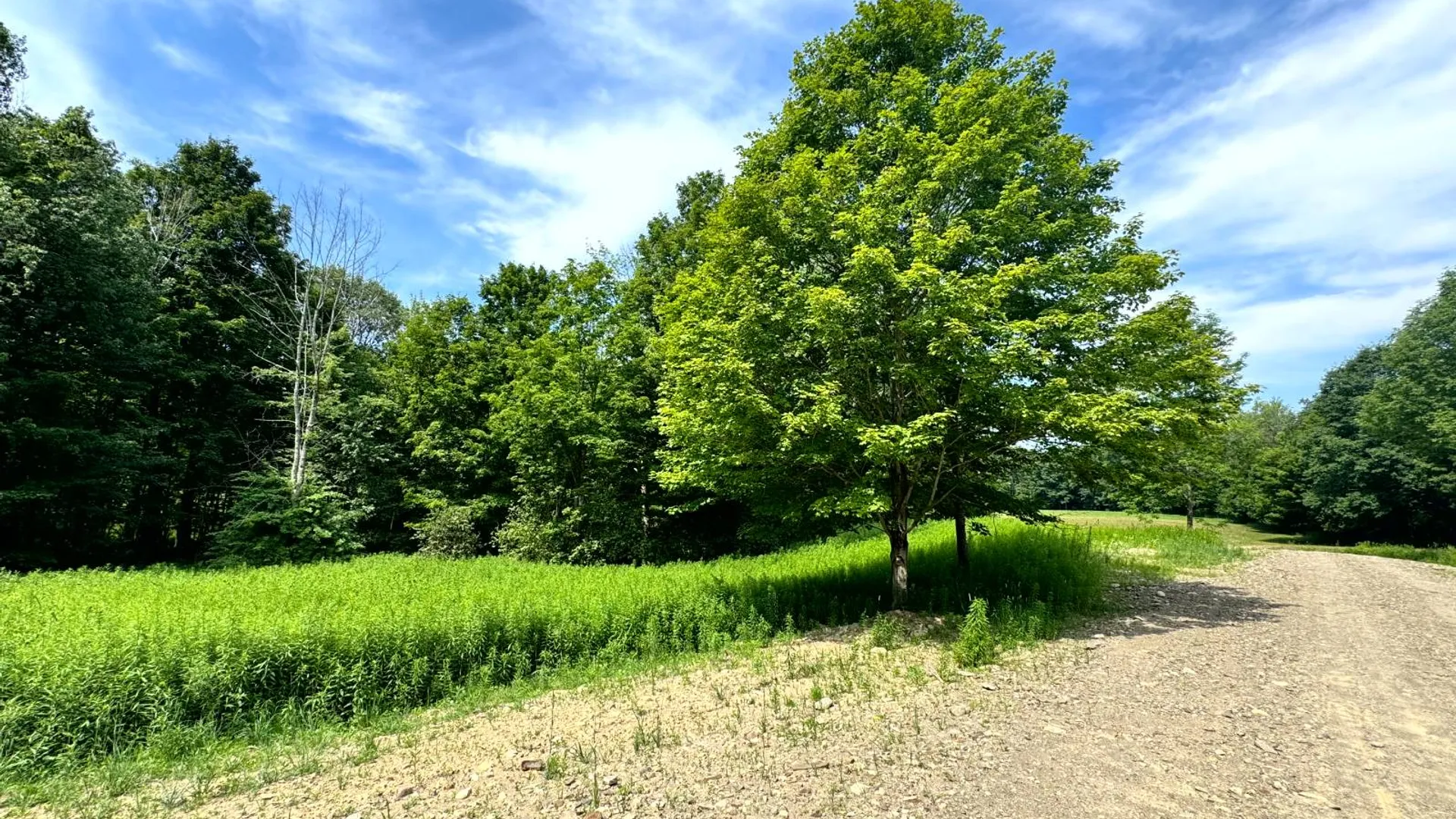 Property at 1.12 Wart Rd., Orwell, NY 13426 4