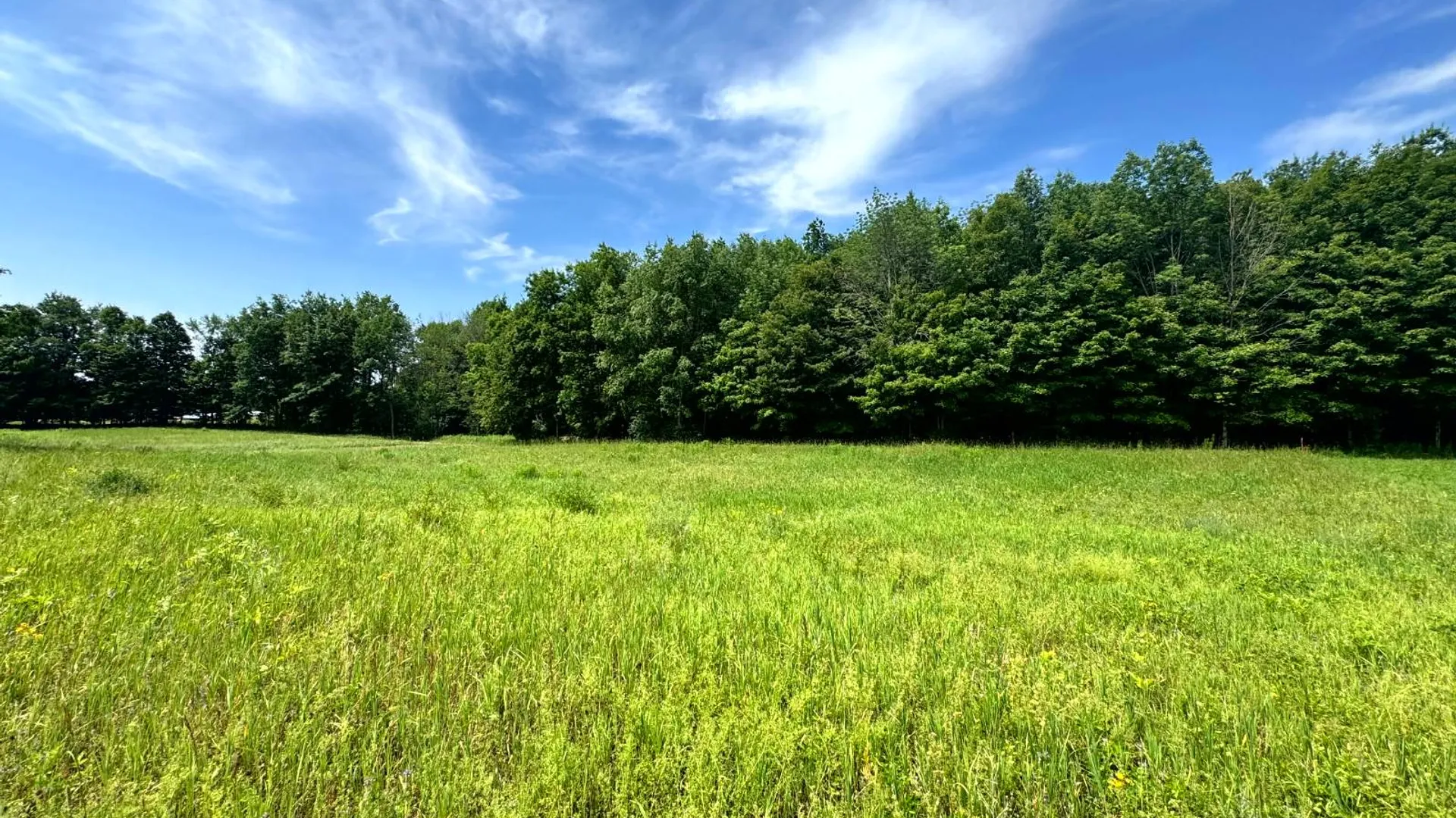 Property at 1.12 Wart Rd., Orwell, NY 13426 7