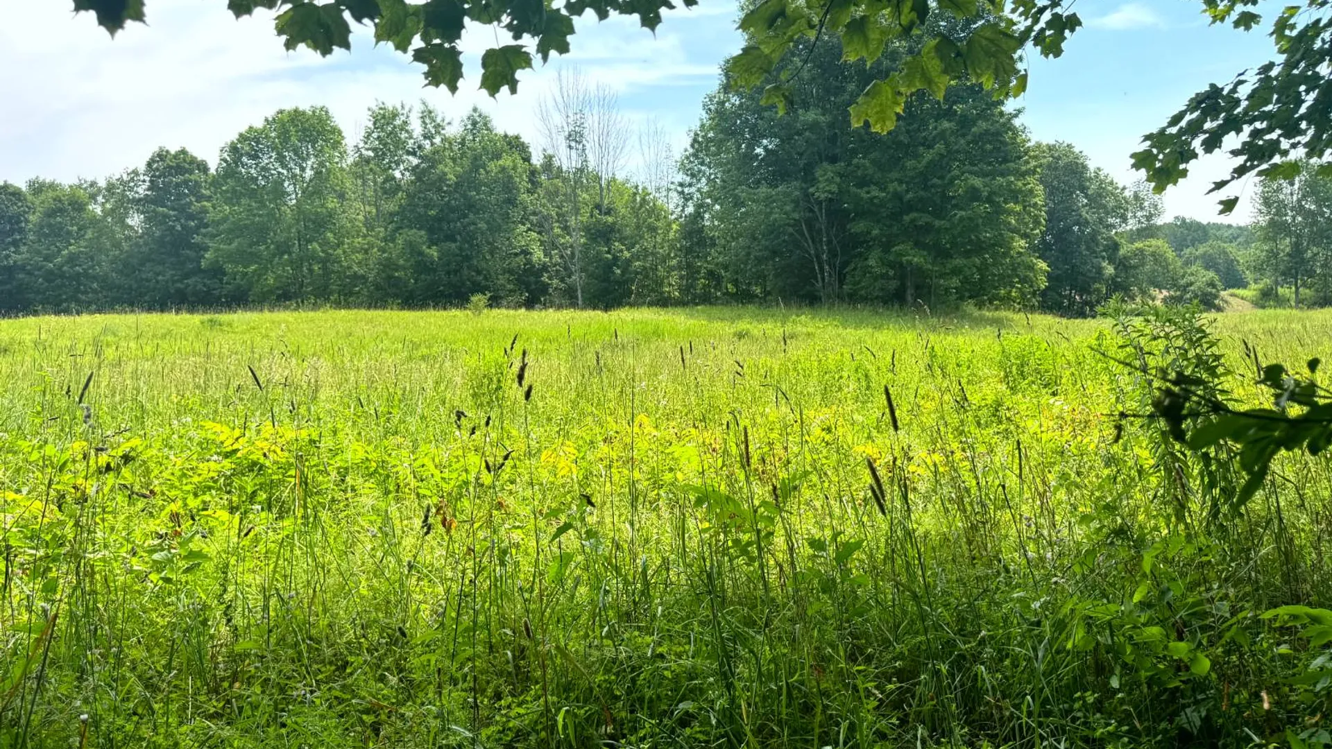 Property at 1.12 Wart Rd., Orwell, NY 13426 9