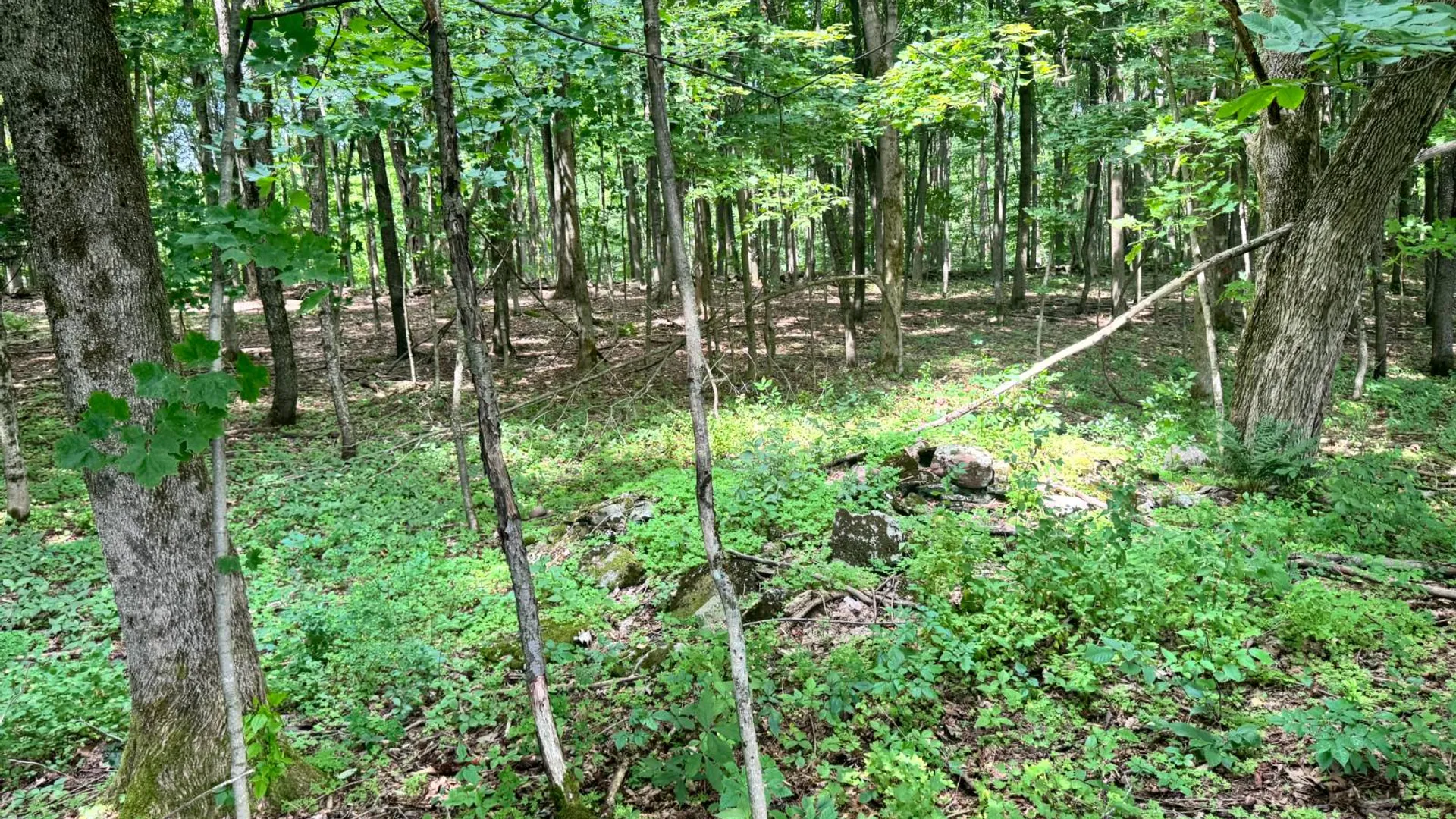 Property at 1.12 Wart Rd., Orwell, NY 13426 11