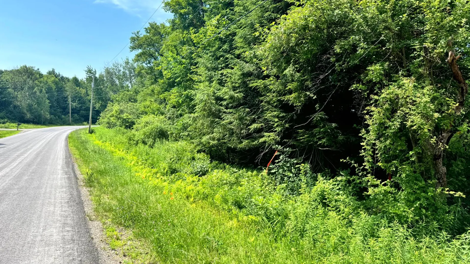 Property at 1.12 Wart Rd., Orwell, NY 13426 12