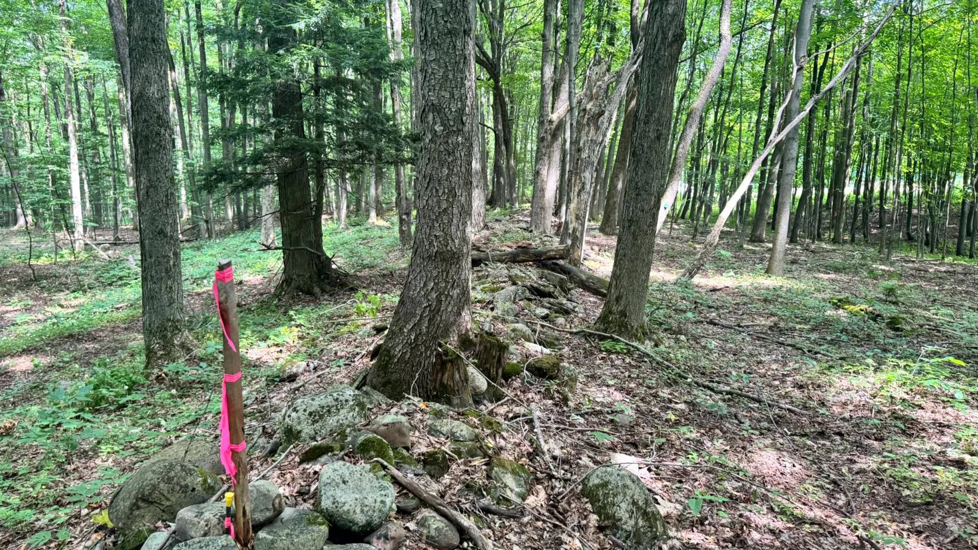 Property at 1.12 Wart Rd., Orwell, NY 13426 13
